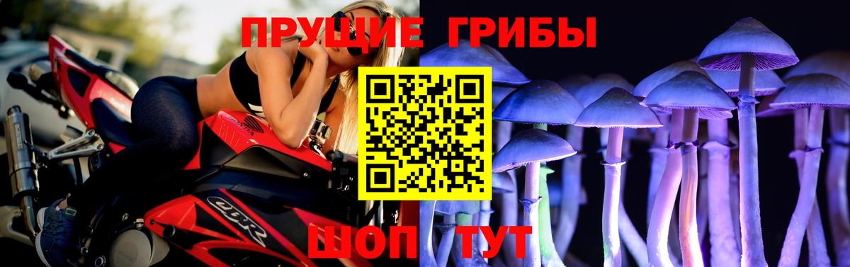 закладка  Вход с VPN  Белово  Псилоцибиновые грибы GOLDEN TEACHER 